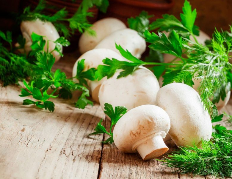 Калорийность и пищевая ценность грибов шампиньонов