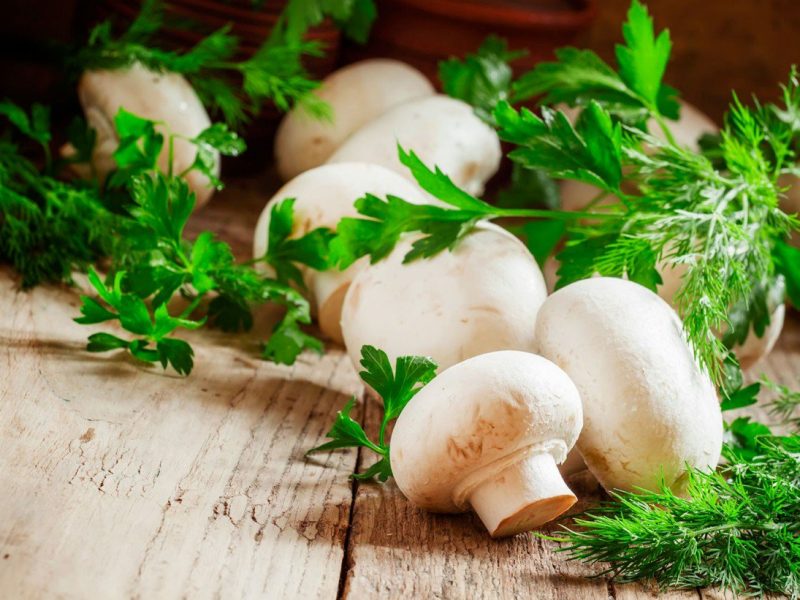 Калорийность и пищевая ценность грибов шампиньонов